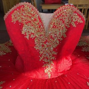 Paquita Sleeping Beauty Fairy Red
Classical Ballet Platter TuTu